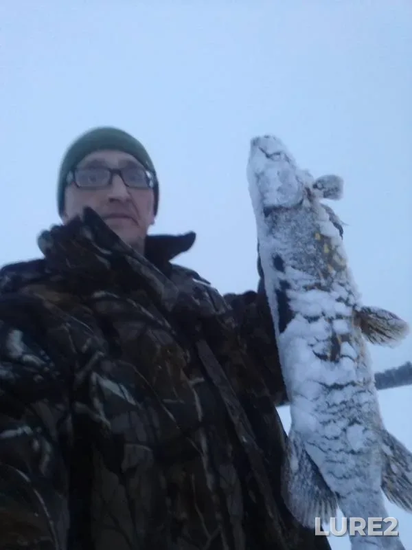 Pike — Vrevo, Feb 13, 2019