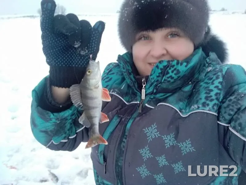 Perch, Pike — Churovka, Mar 13, 2019