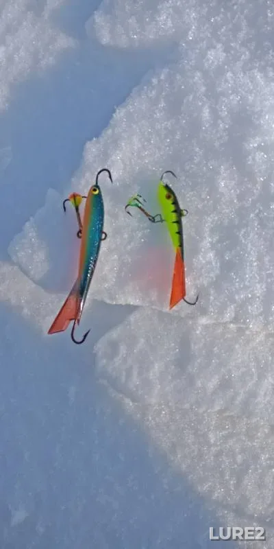 Perch — Andreyevskoye, Feb 24, 2019