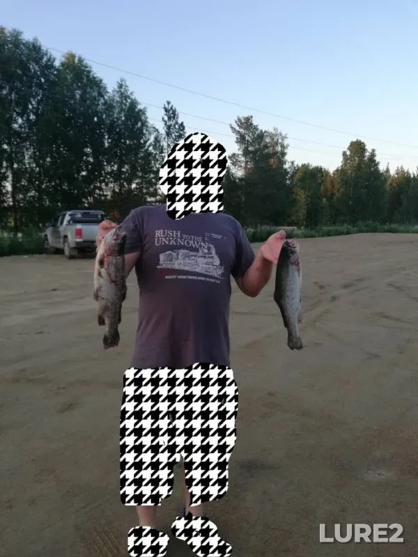 Carp — Koyelga, Jul 16, 2018