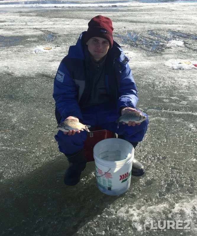 Crucian carp — Bolshoye Tarmanskoye, Apr 14, 2019