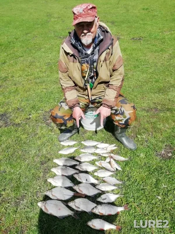 Bream — Pyshma, May 25, 2019