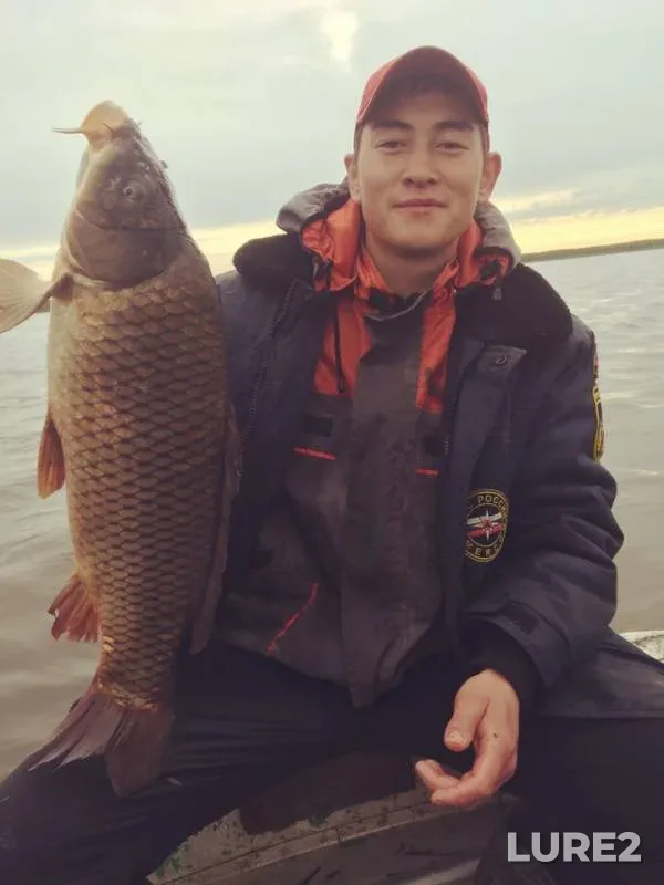 Carp — Vayvolykul, Jun 04, 2019