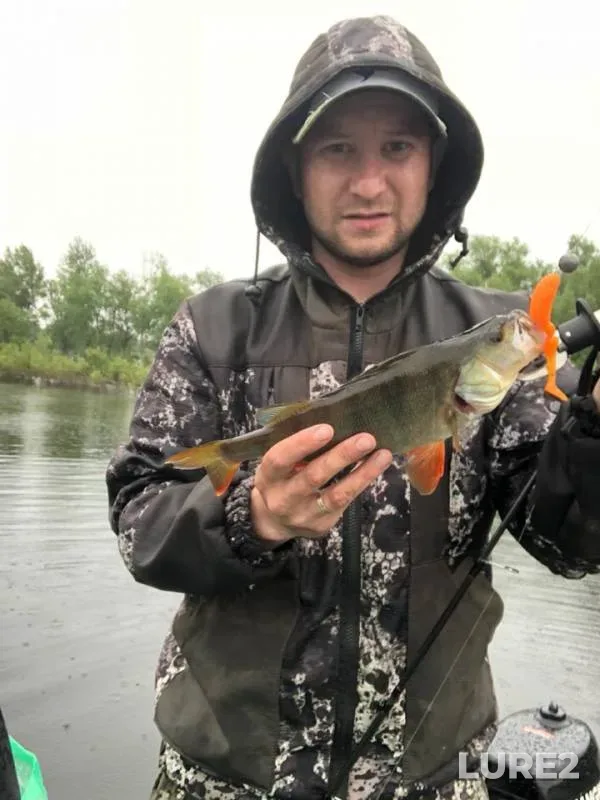 Perch, Pike — Tobol, Jun 24, 2019