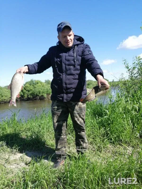 Burbot, Crucian carp — Pyshma, Jun 28, 2019