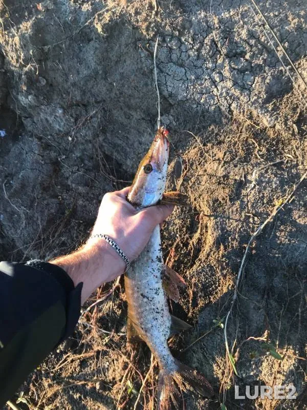 Pike — Tura, Jun 28, 2019