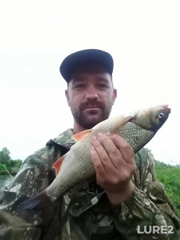 Bream, Ide — Tobyl - Tobol, Jun 29, 2019