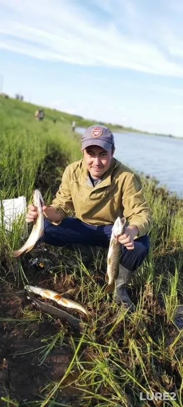 Pike — Buryan, Jun 29, 2019