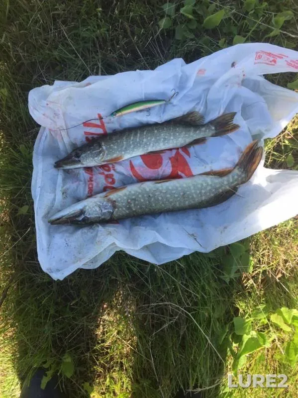 Pike — Pyshma, Jul 10, 2019