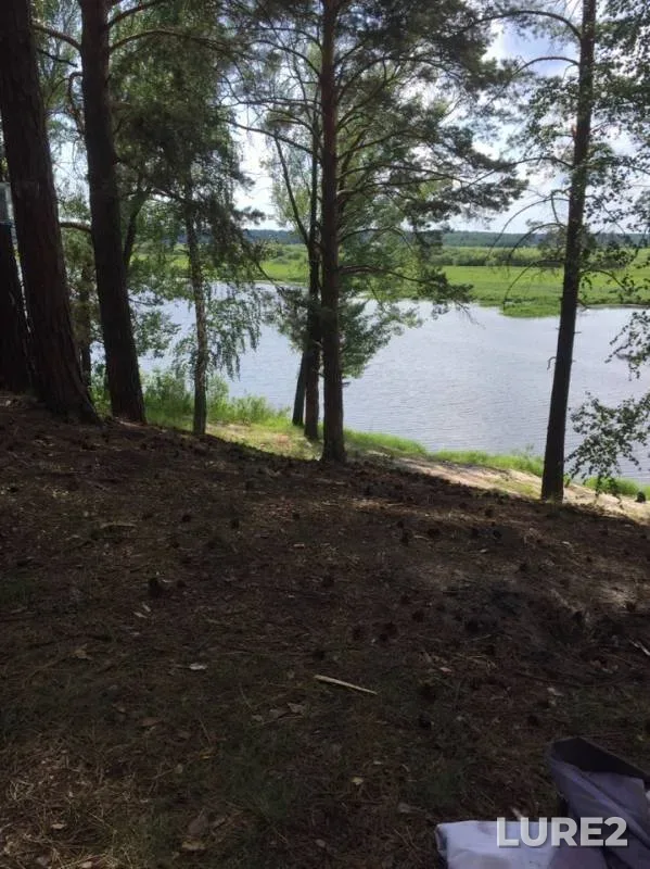 Perch, Pike — Krivoye, Jul 30, 2019