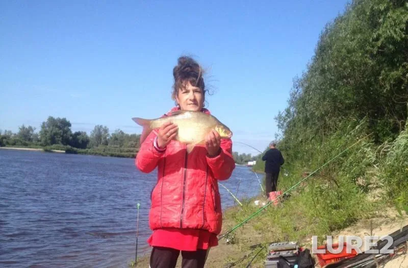 Bream — Tura, Aug 07, 2019