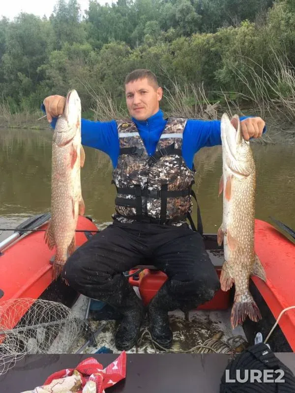 Pike, Zander — Irtysh, Aug 11, 2019