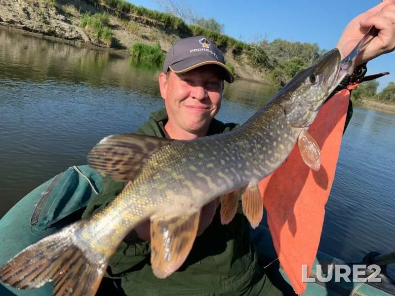 Pike — Iset, Aug 21, 2019