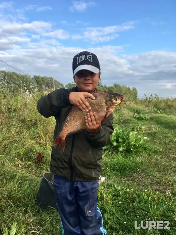 Bream — Tura, Aug 24, 2019