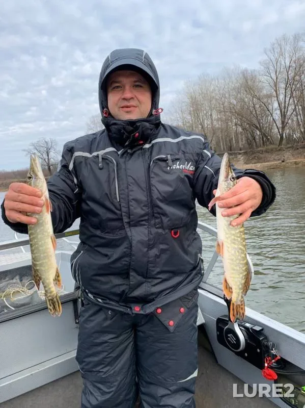 Crucian carp, Pike — Don, Nov 03, 2019
