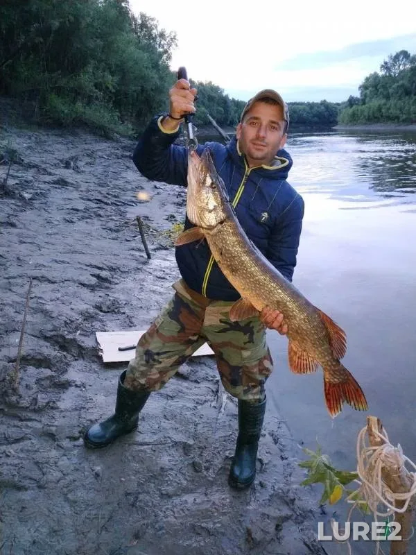 Pike — protoka Borovaya, Sep 03, 2019