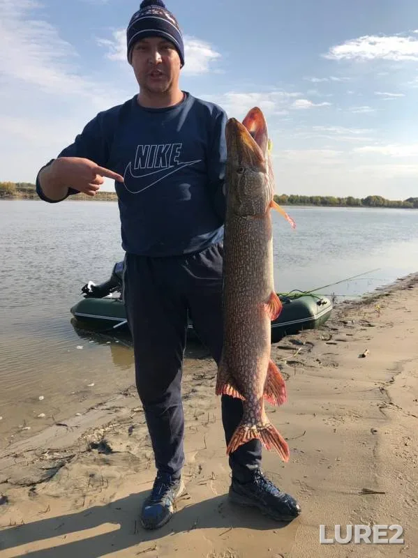 Pike — Irtysh, Sep 16, 2019