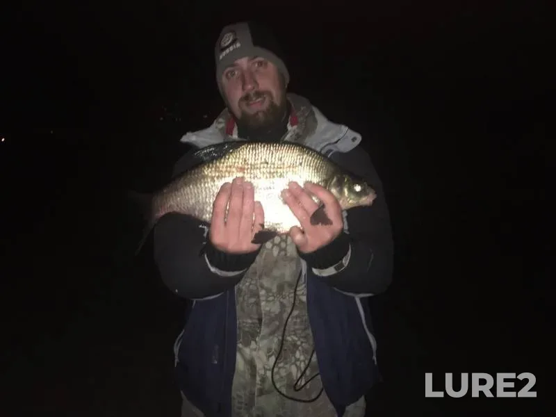 Bream — Tura, Sep 25, 2019