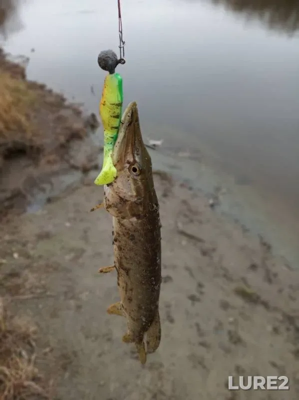 Pike — Pyshma, Oct 28, 2019
