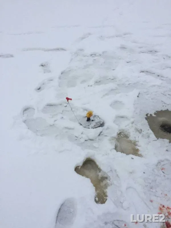 Pike — Lukoma, Dec 23, 2017