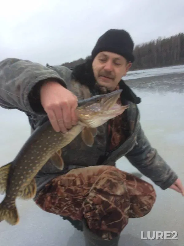 Pike — Meryovskoye, Jan 03, 2018