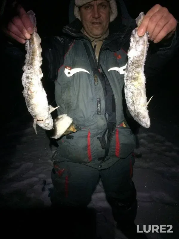 Burbot — Vrevo, Feb 15, 2018