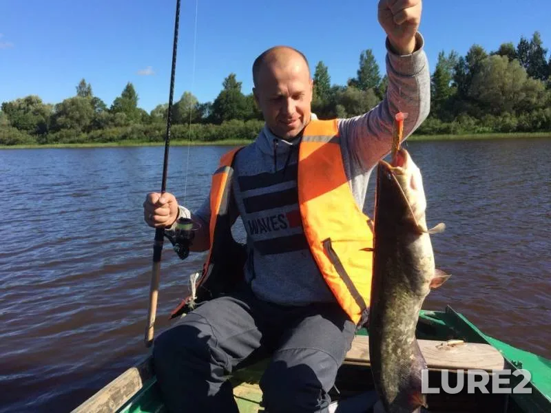 Wels catfish — Lovats, Aug 14, 2018