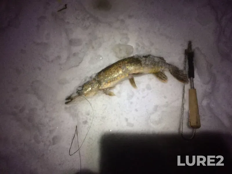 Pike — Lukoma, Dec 12, 2018
