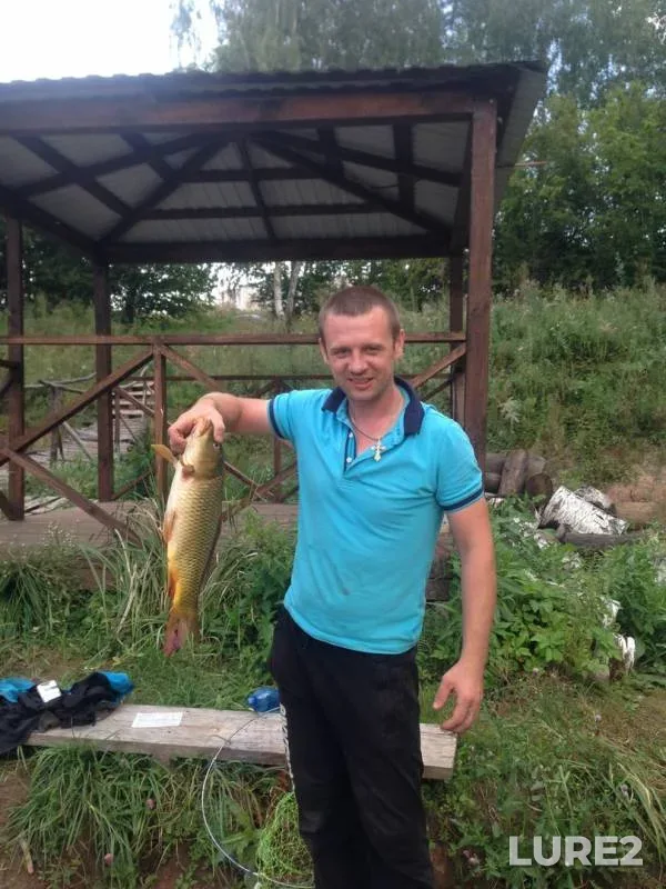 Carp — Nizhegorodskaya oblast, Aug 18, 2016