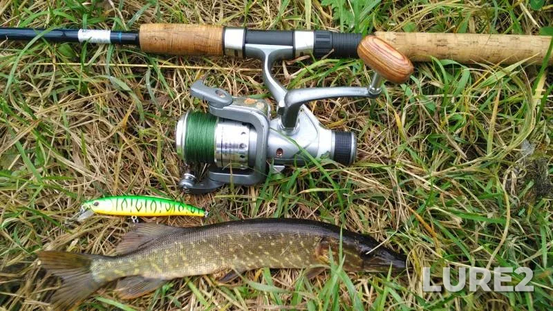 Perch, Pike — Grebnoy kanal, Sep 26, 2017