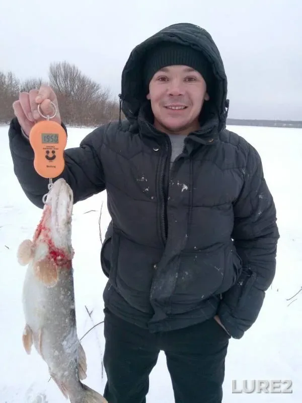 Perch, Pike — Volga, Jan 14, 2018