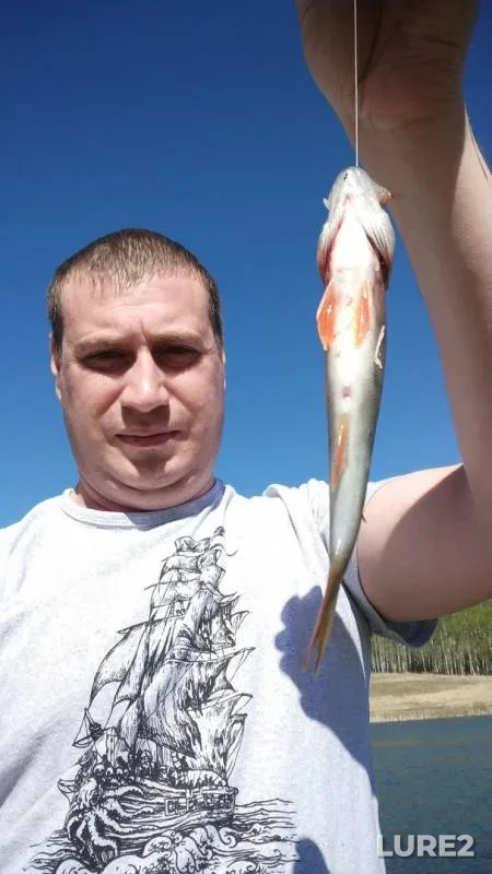 Perch — Yefimyevskoye, May 13, 2018