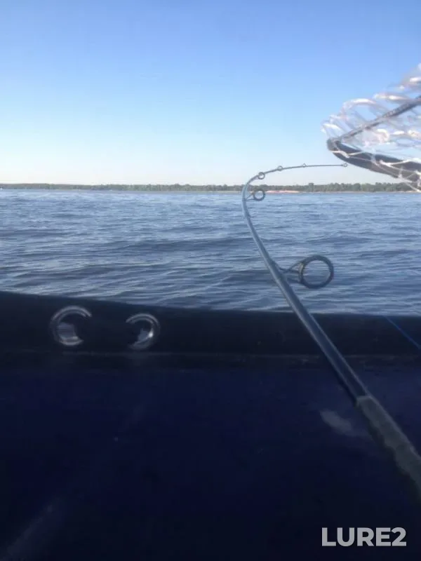Pike, Zander — Volga, Jun 22, 2018