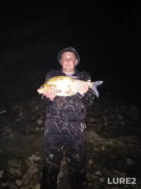 Bream — Volga, Jun 22, 2018