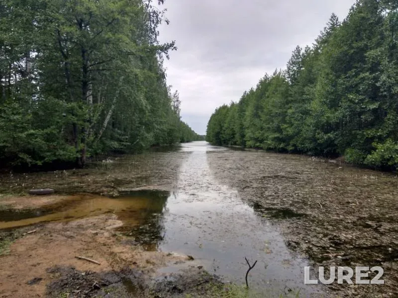 Perch — Silikatnoye ozero (karyer), Jun 17, 2019