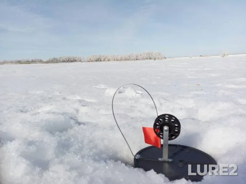 Pike — Zapadno-Kazakhstanskaya oblast, Mar 08, 2017