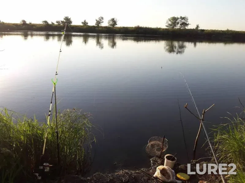 Crucian carp — Ural, Aug 20, 2017