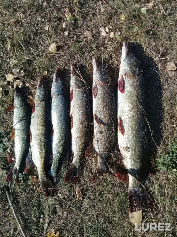 Pike — Utva, Sep 29, 2017