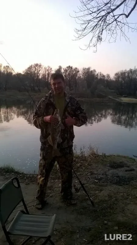 Wels catfish, Zander — Don, Oct 21, 2019