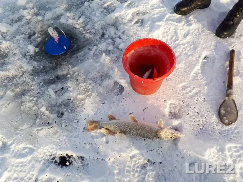 Pike — Zapadno-Kazakhstanskaya oblast, Dec 19, 2017