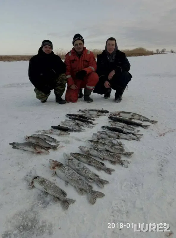 Pike — Kushum, Jan 11, 2018