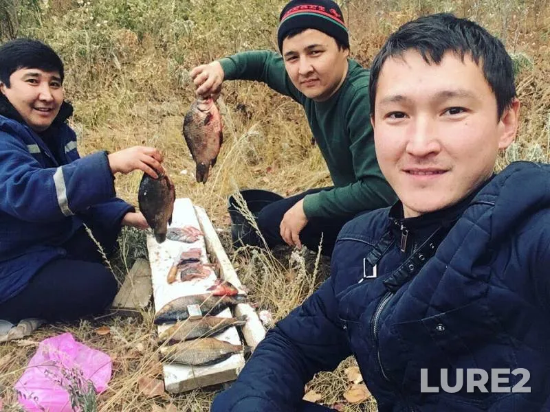 Crucian carp — protoka Kushum-Kanal, Jan 14, 2018