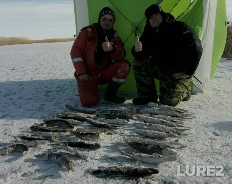 Pike — Kushum, Jan 30, 2018