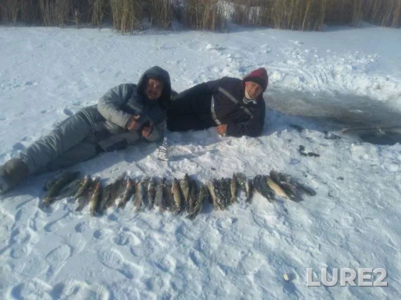 Pike — Bagyrlay, Feb 14, 2018