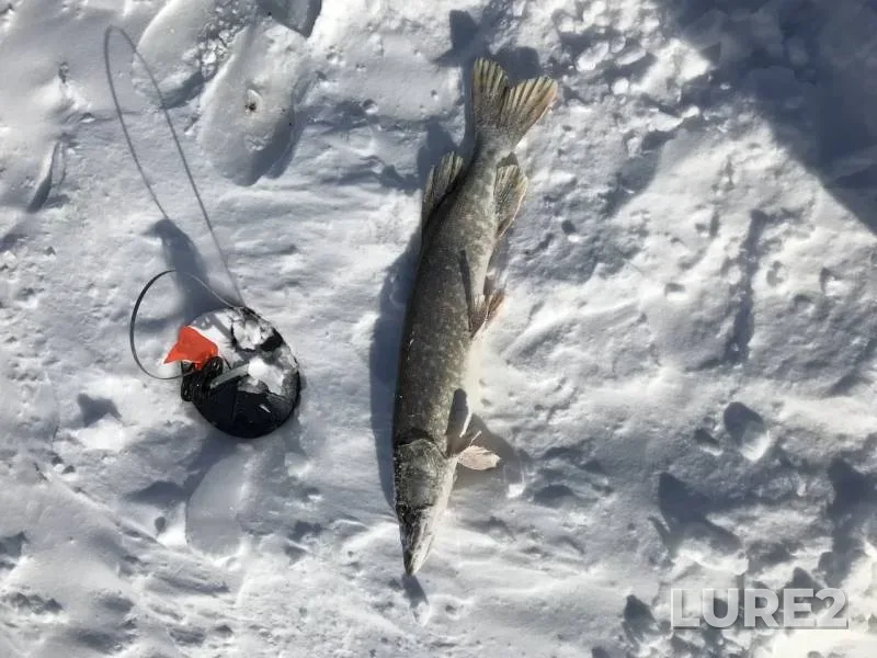 Pike — Kirovskoye, Feb 19, 2018