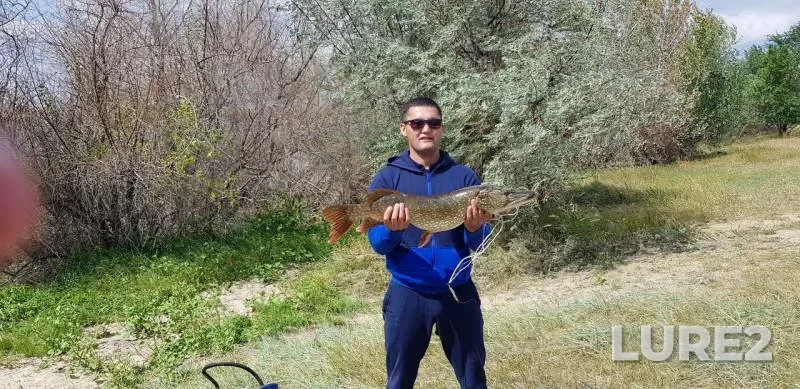 Pike — Zhanakush, Aug 20, 2018