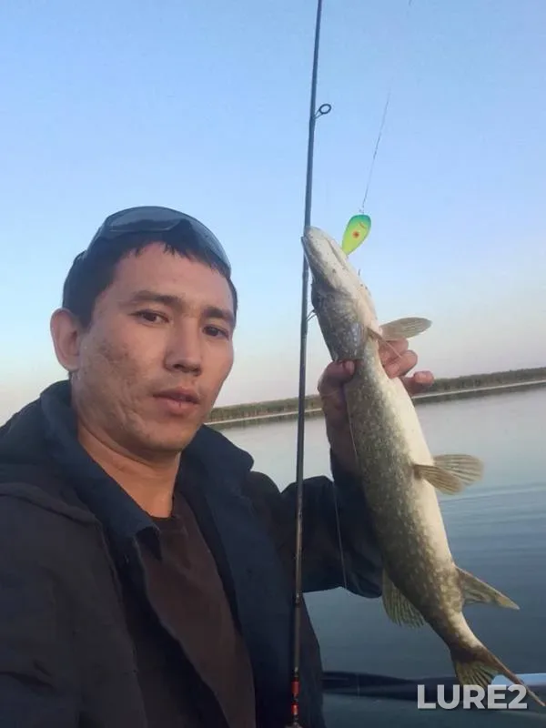 Pike — Bitikskoye, Aug 25, 2018