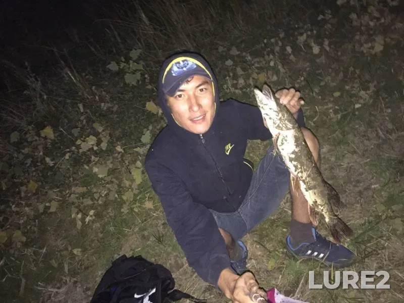 Pike — Zapadno-Kazakhstanskaya oblast, Sep 16, 2018