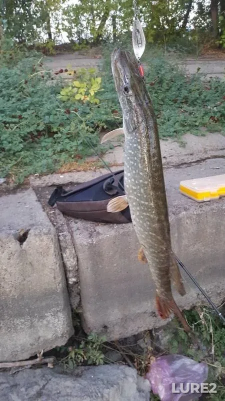 Pike — Shagan, Sep 21, 2018