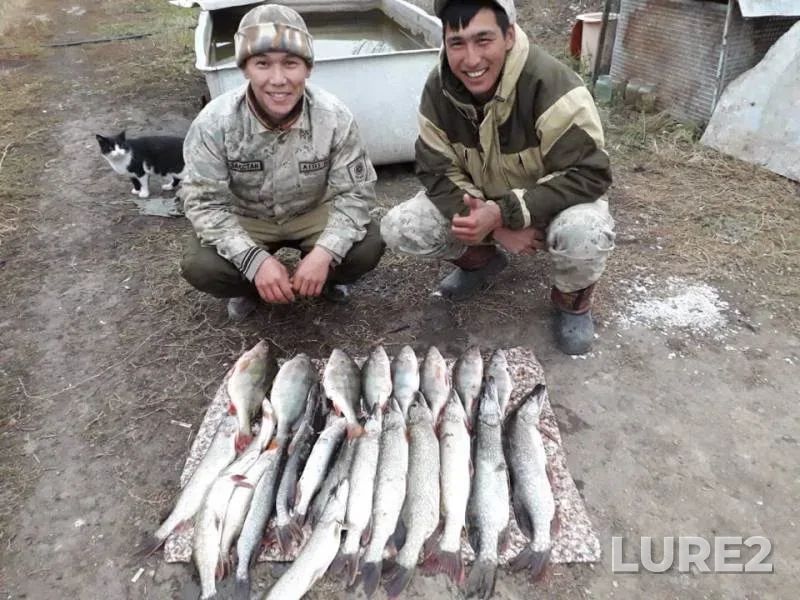 Perch, Pike — Ural, Oct 09, 2018